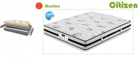 Muelles Citizen